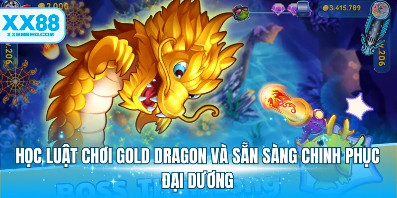 Học luật chơi Gold Dragon và sẵn sàng chinh phục đại dương